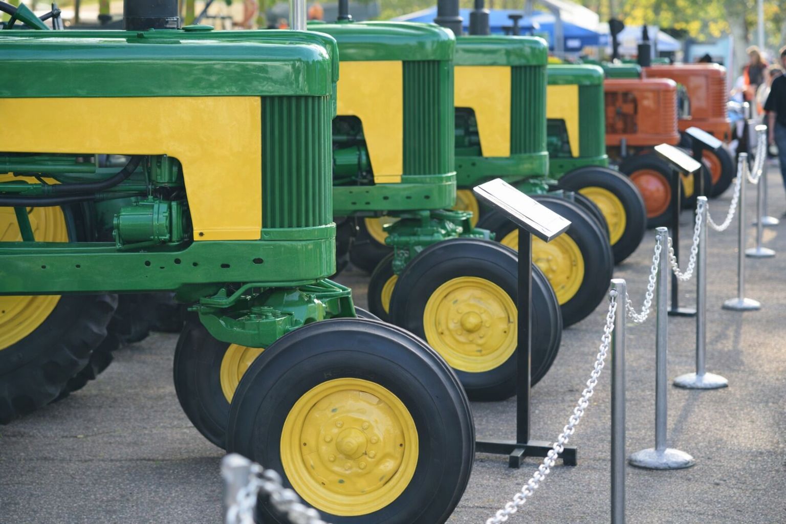 En rad med klassiska gröna och gula veterantraktorer uppställda på en utställning.